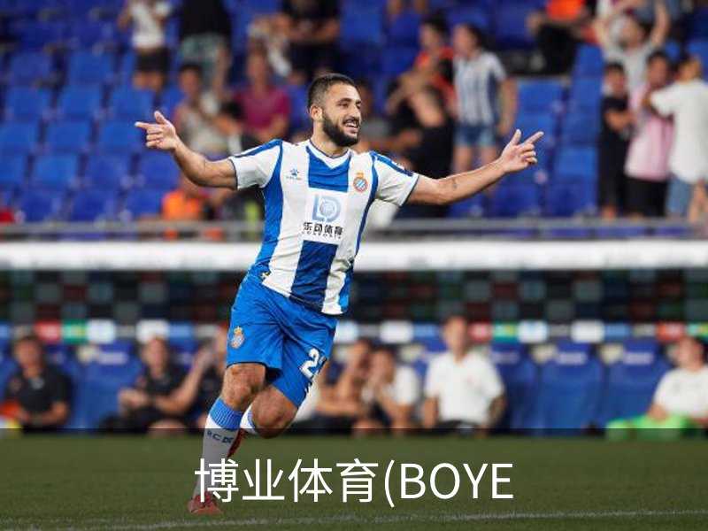 博业体育(BOYE概况